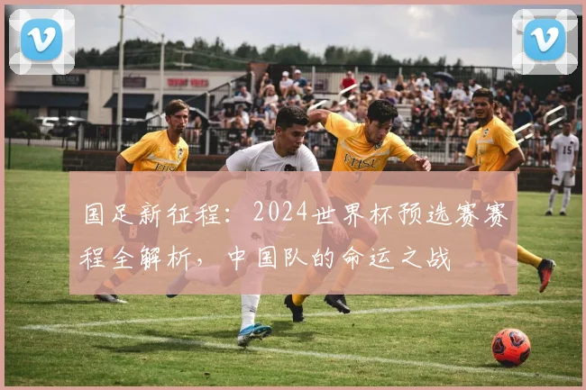 国足新征程：2024世界杯预选赛赛程全解析，中国队的命运之战