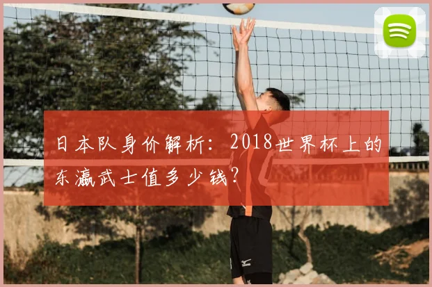 日本队身价解析：2018世界杯上的东瀛武士值多少钱？