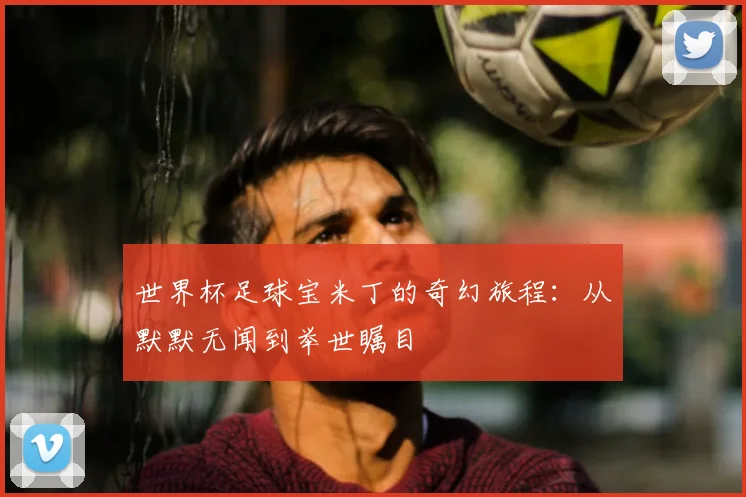 世界杯足球宝米丁的奇幻旅程:从默默无闻到举世瞩目