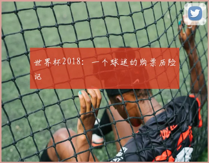 世界杯2018:一个球迷的购票历险记