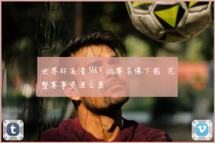 世界杯高清 MKV 比赛录像下载 完整赛事资源合集